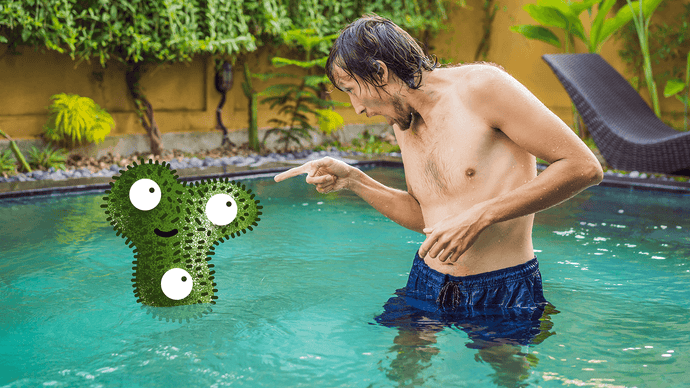 HOW TO GET RID OF MESSES ALGAE IN YOUR SWIMMING POOLS – FAST FOR FOREVER! [2021]