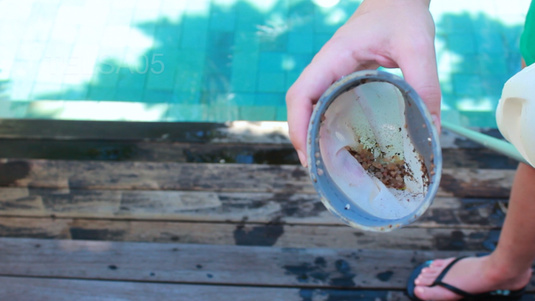 Vince 2024 telsa sandals